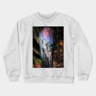 Black-necked stork Crewneck Sweatshirt